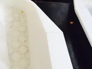 Maya Grill&BBQ