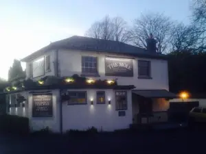 The Mole Inn