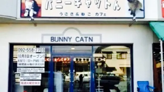 Hakata Chaya Bunny Catton
