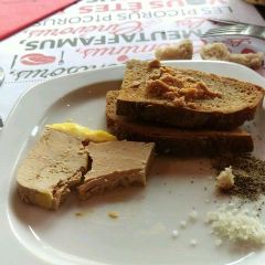 Hippopotamus User Photo