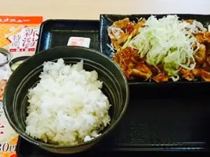 Yoshinoya Niigata Sanjo