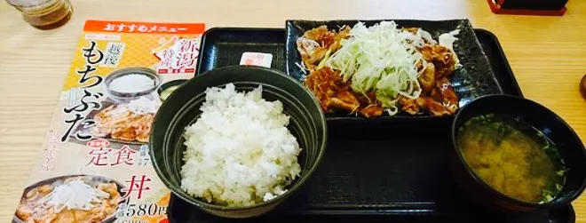 Yoshinoya Niigata Sanjo