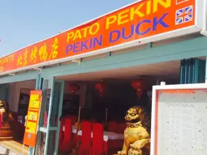 Pato Pekin Duck