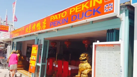 Pato Pekin Duck