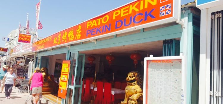 Pato Pekin Duck