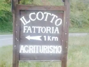 Fattoria il Cotto