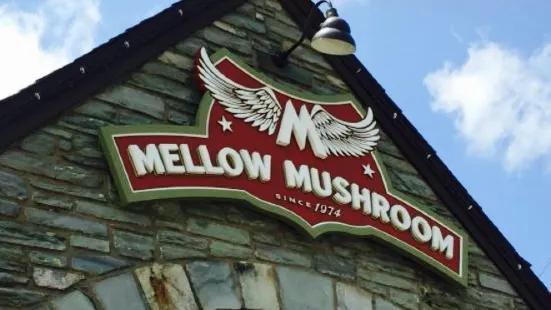 Mellow Mushroom Blowing Rock