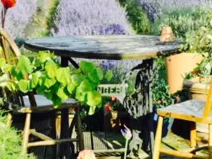 New Forest Lavender Tearooms