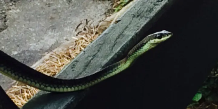 Byfield General Store