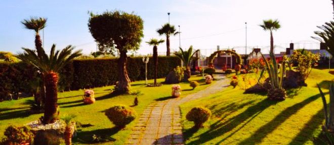 Villa Flavia