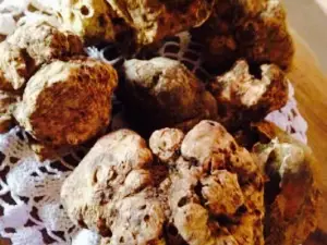 Ristorante L’ Osteria Aleramo