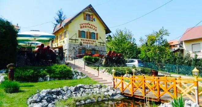 Hegyalja Restaurant and Wine Bar