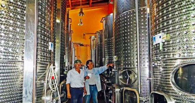 Ariousios Winery