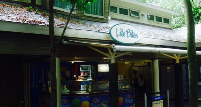 Lite Bites