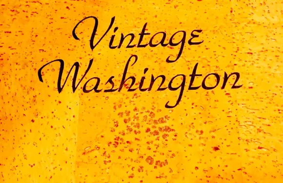 Vintage Washington Wine Bar