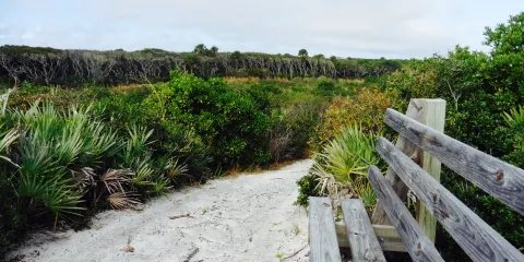 North Peninsula State Park