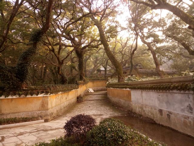 法雨寺