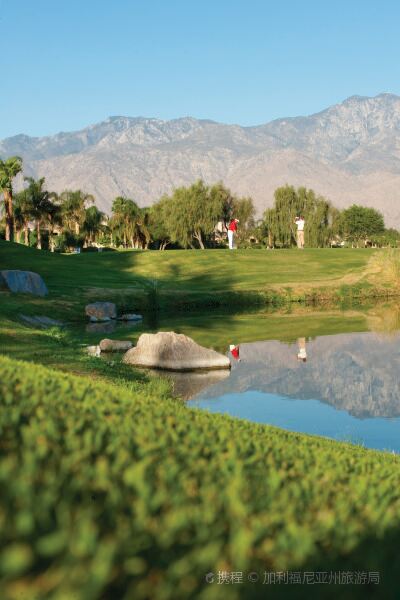 flyg Moline till Palm Springs