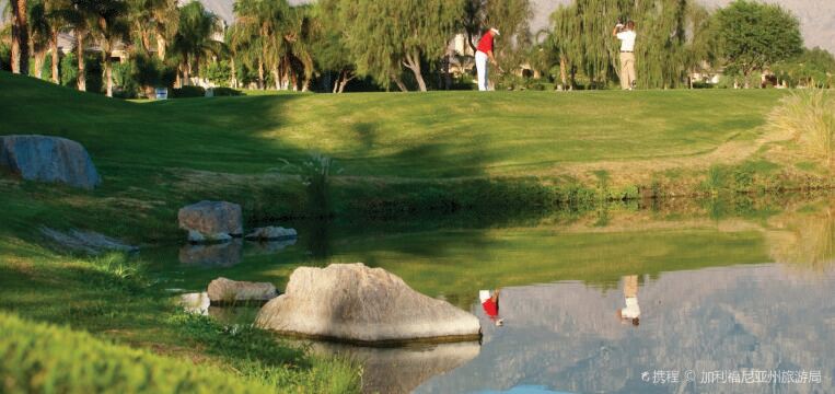 Palm Springs Travel Guide 2026: Top Attractions, Things to do ...