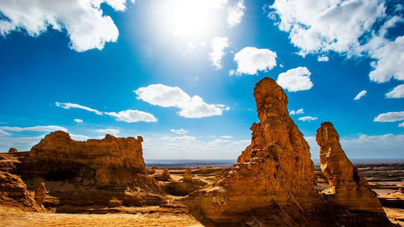 Eight Southern Heroines