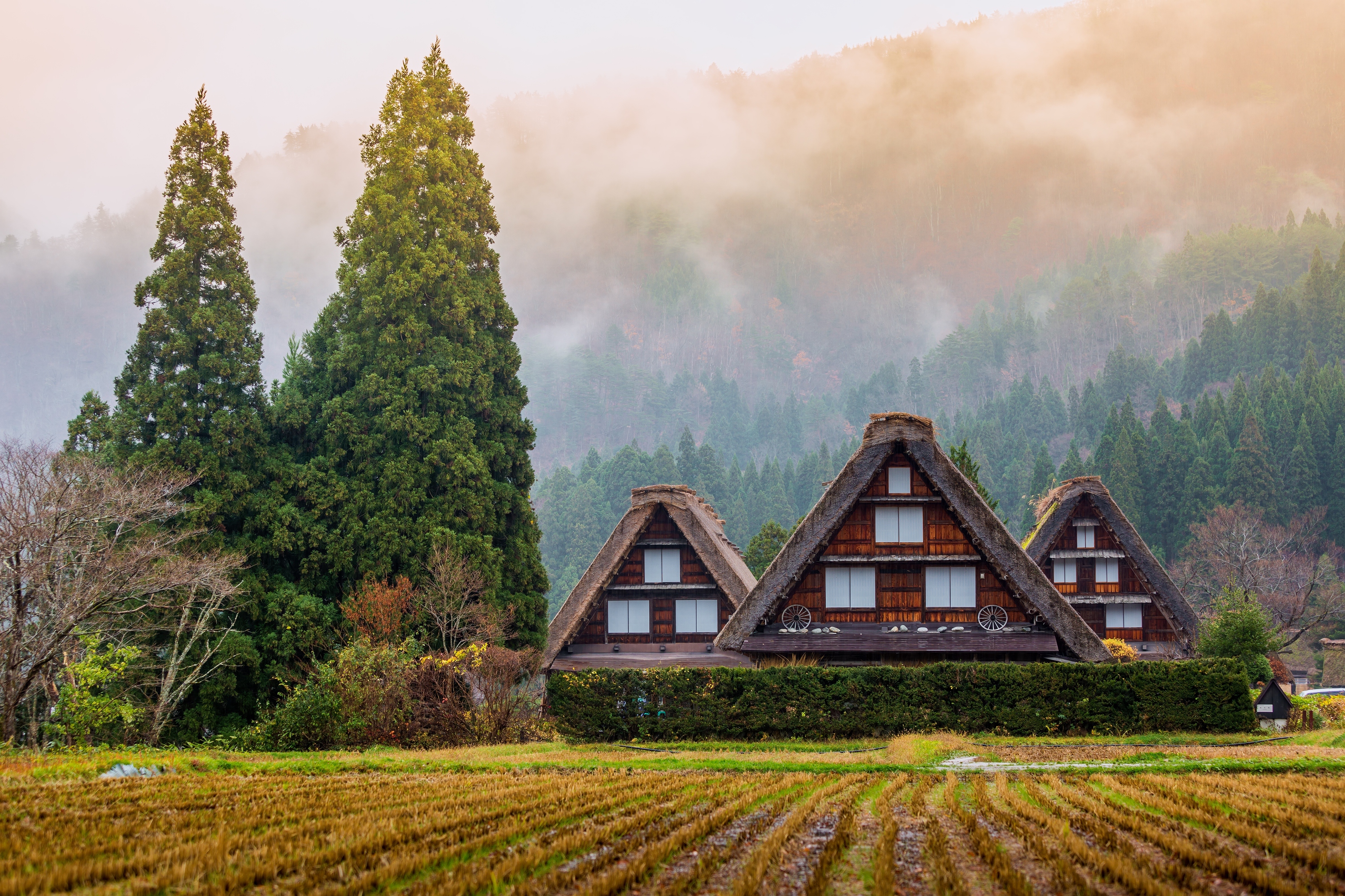 Experiencing the Essence of Japan