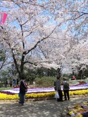 아스카야마 공원