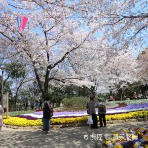 飛鳥山公園