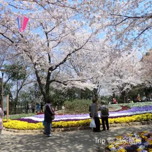 飛鳥山公園