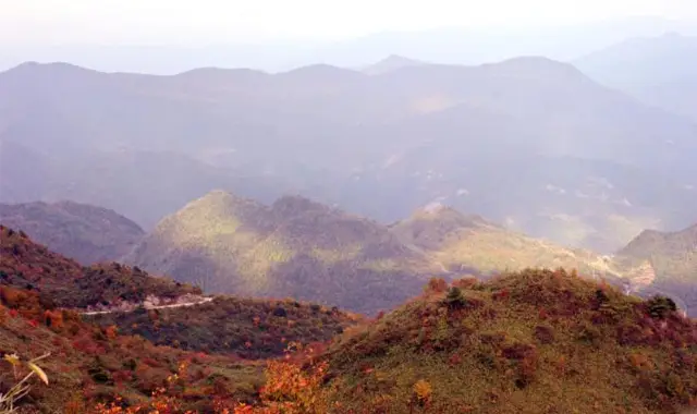 Fall Leaves Viewing in Dazhou