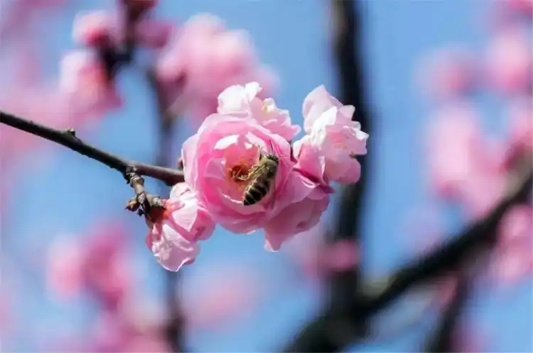 Home Inn Selected Hotels in Sishui County