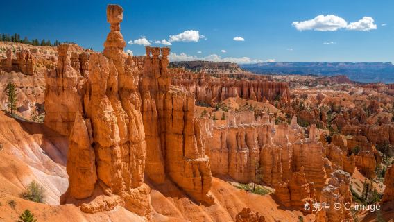 Bryce Canyon and Zion National Parks Day Tour From Las Vegas with Lunch