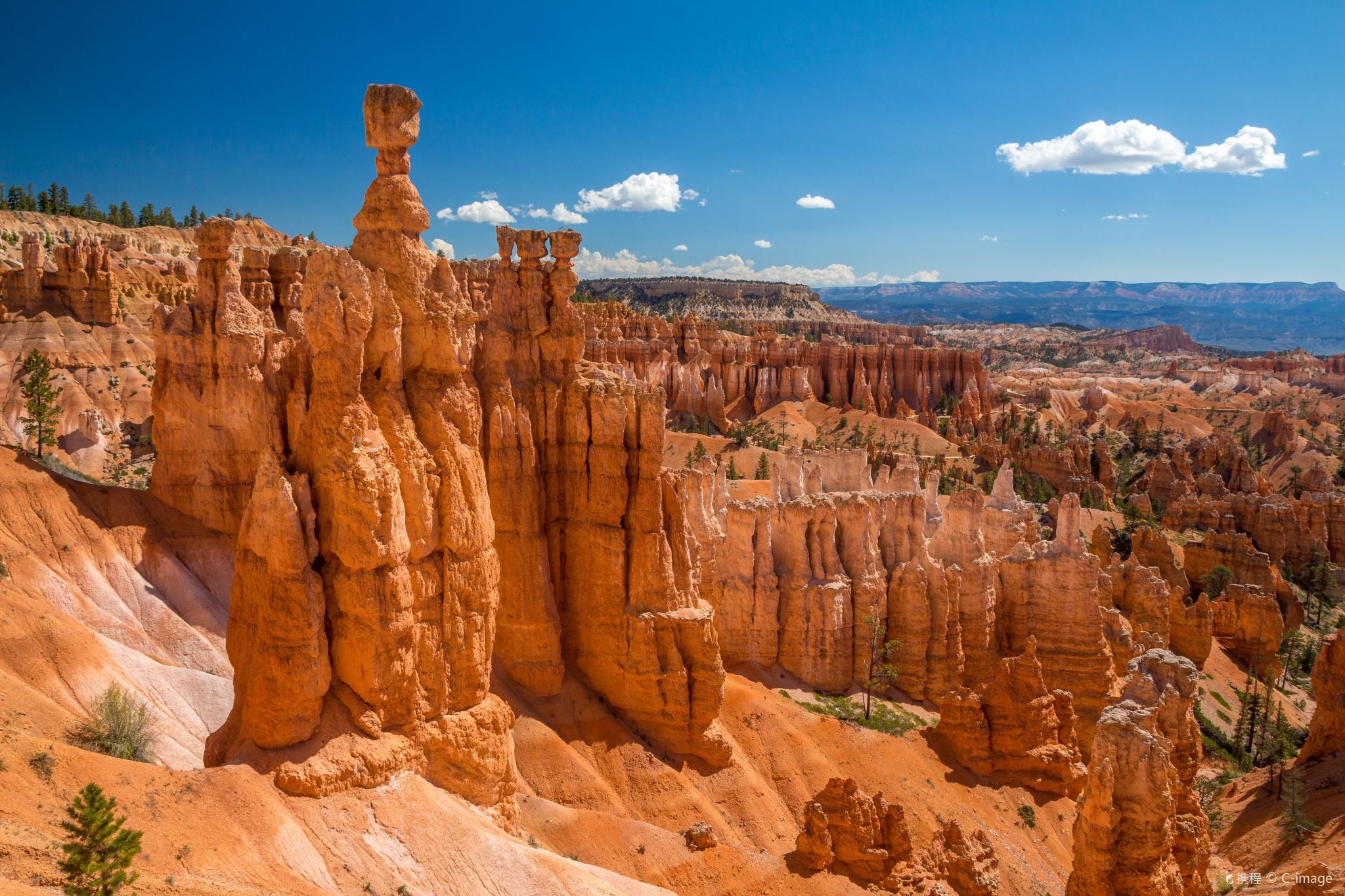 Excursion à la journée aux parcs nationaux de Bryce Canyon et de Zion au départ de Las Vegas avec déjeuner