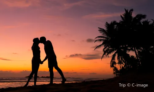 Travel Photoshoot in Sri Lanka