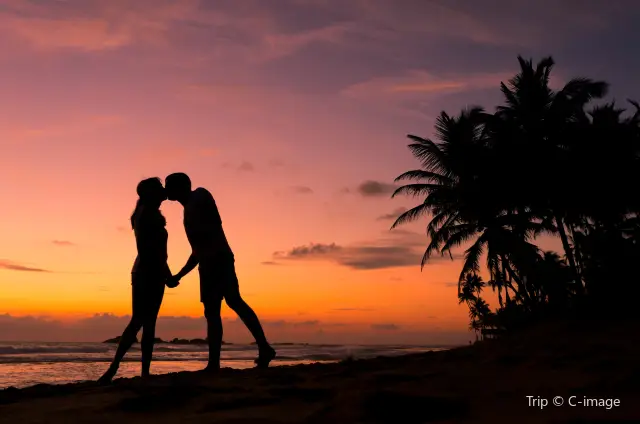 Travel Photoshoot in Sri Lanka