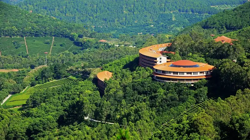 4_Yearning Tea Plantation Tourist Attraction