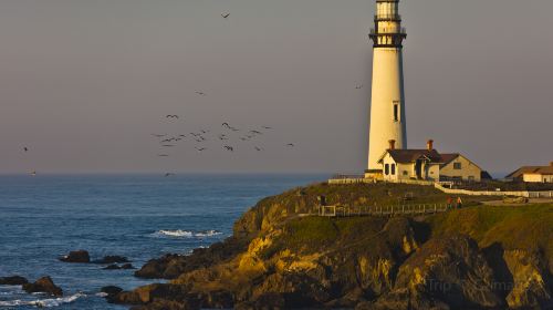 Pigeon Point Lighthouse