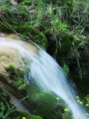 Baofengyan Scenic Spot