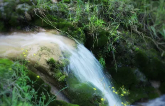 寶峰岩景區門票優待（小童／學生／長者）