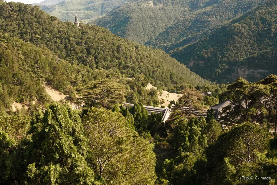 天龍山景區