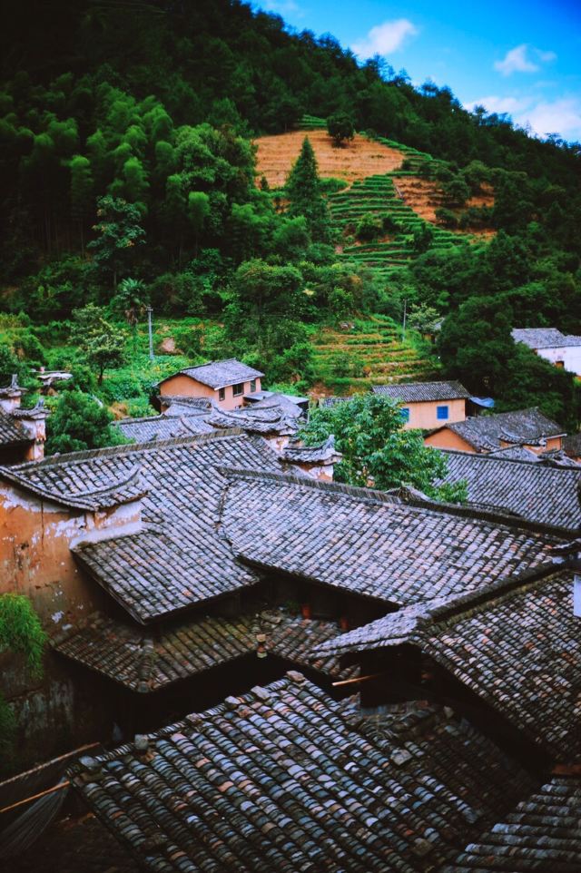 楊家堂村