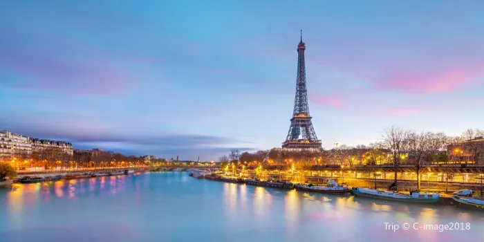 Eiffel Tower image 0