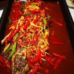 TING XIANG User Photo