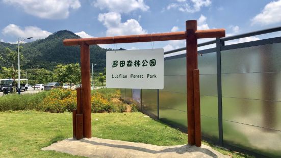 公园内很大，主入口广场、暸望塔、乐园路、远足径、月亮湖、红叶