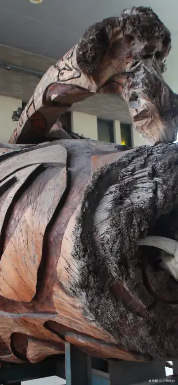 鄰近台東美術館的酒店