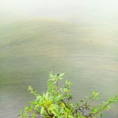 FENG HUANG LAO CAI GUAN User Photo