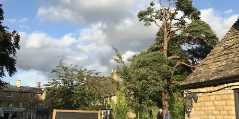 L'anatra Italian Kitchen