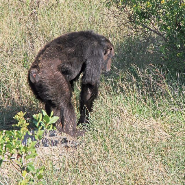 Sweetwaters Game Reserve