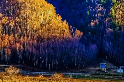Qilian Mountain Grassland