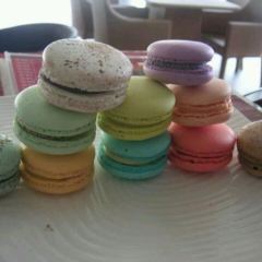 Macaron Tango Cafe User Photo