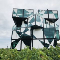 The d'Arenberg Cube Restaurant張用戶圖片